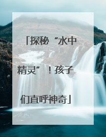 探秘“水中精灵”！孩子们直呼神奇